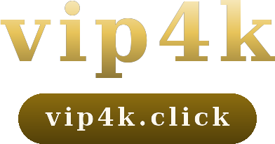 vip4k logo